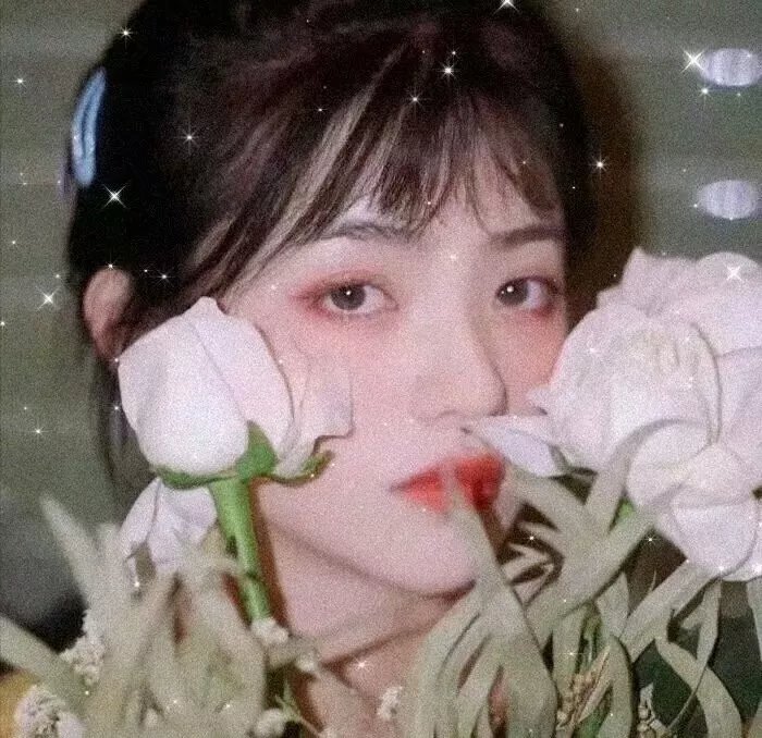 侦探米娜封面
