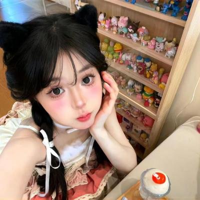 美国犯罪的最后日子封面